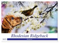 Vorderes Coverbild Rhodesian Ridgeback - Moments (Tischkalender 2025 DIN A5 quer), CALVENDO Monatskalender