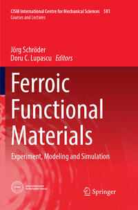 Vorderes Coverbild Ferroic Functional Materials