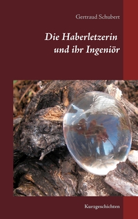 Vorderes Coverbild Die Haberletzerin und ihr Ingeniör
