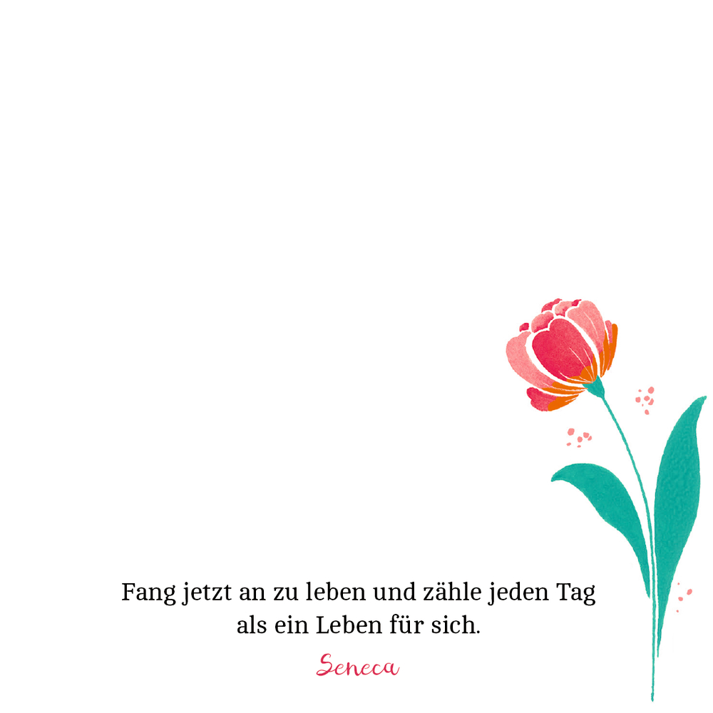 Beispielinhalt (Bild) Zettelkästchen