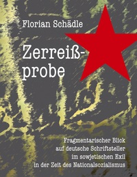 Vorderes Coverbild Zerreißprobe