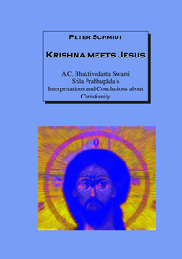 Vorderes Coverbild Krishna meets Jesus