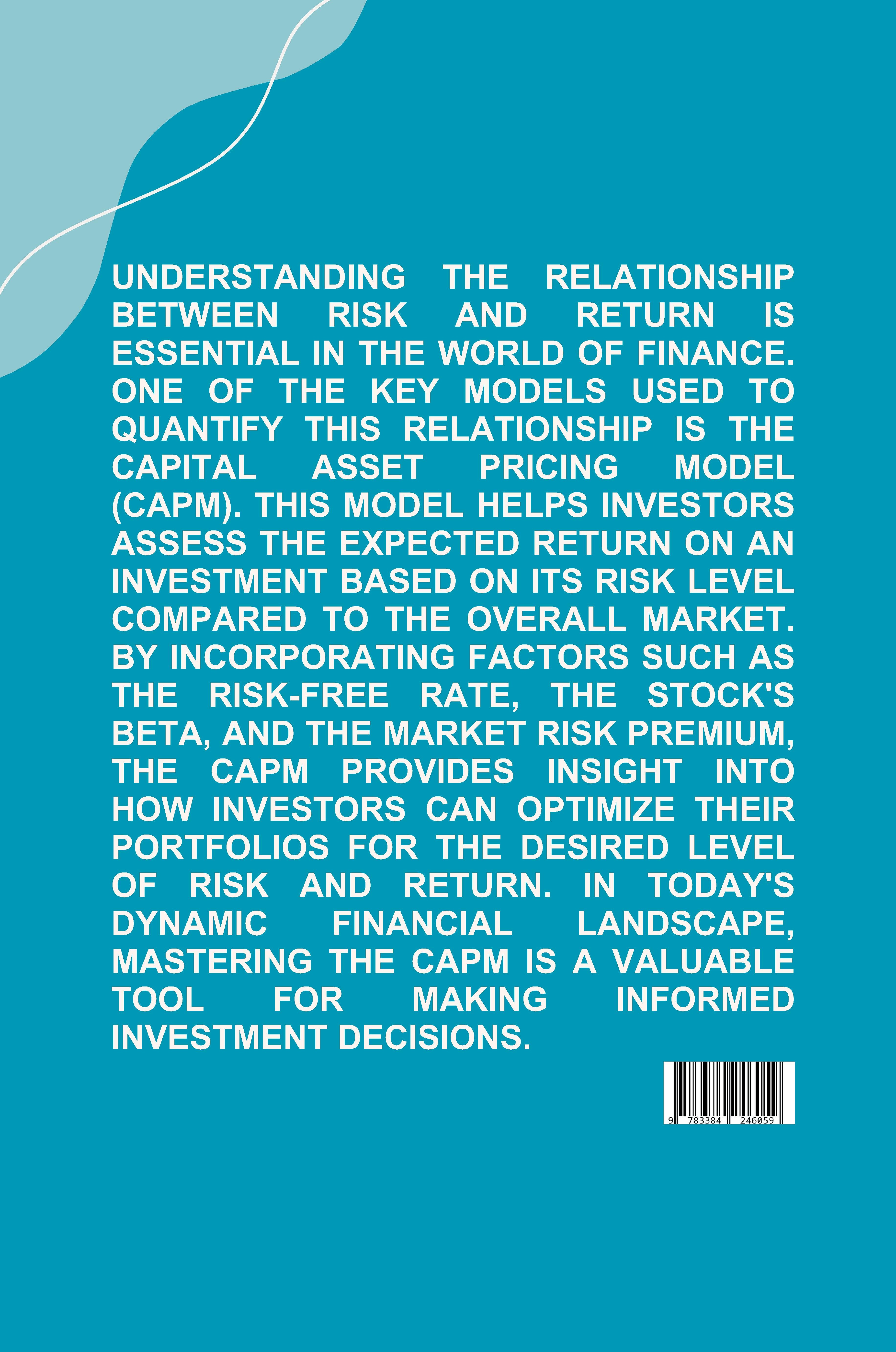 Rückseitencover Beyond the Basics: Unveiling the Complexities of Risk-Return Relationships