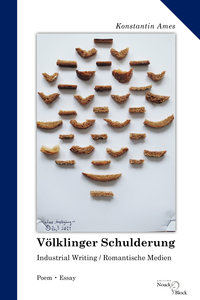 Vorderes Coverbild Völklinger Schulderung
