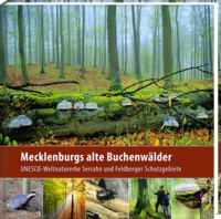 Vorderes Coverbild Mecklenburgs alte Buchenwälder