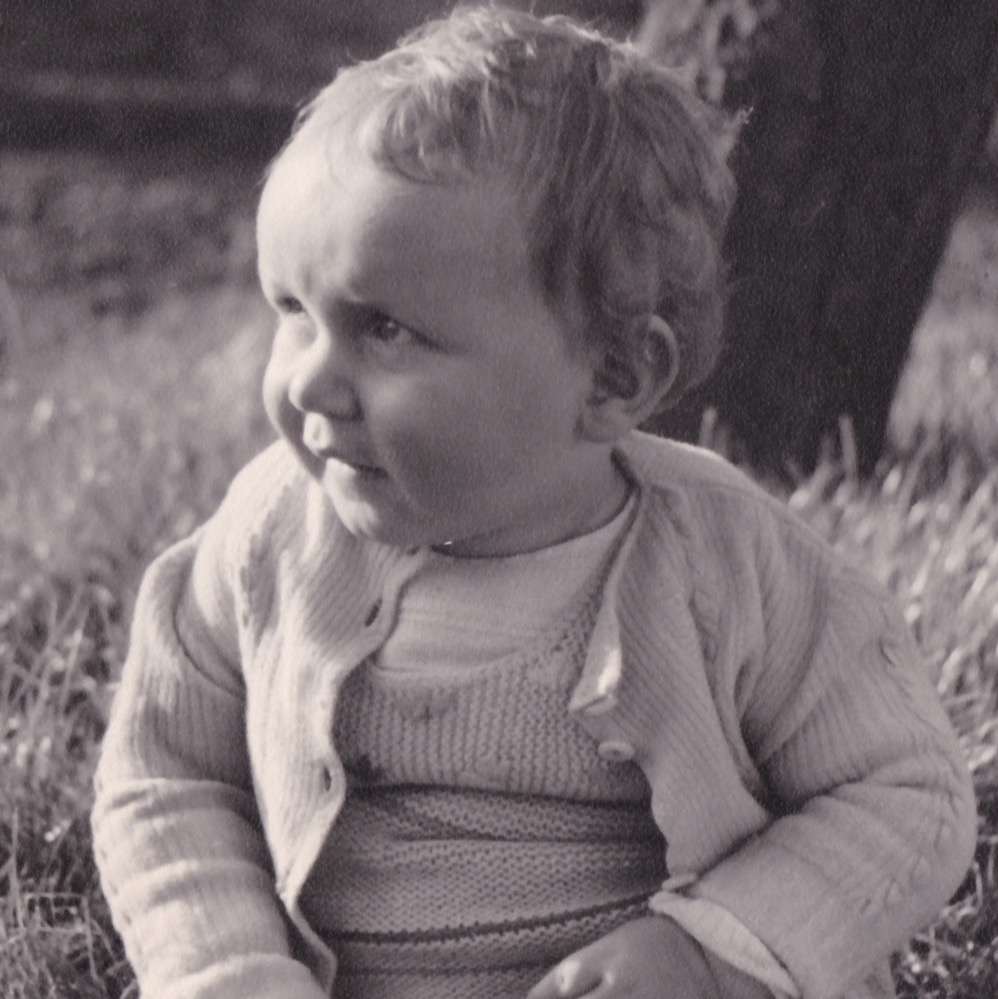 Bild des Mitwirkenden Wie Harry S Truman Günther Wilke in den Knast regiert