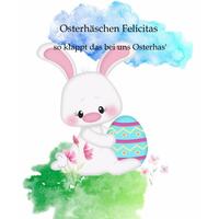 Vorderes Coverbild Osterhäschen Felicitas