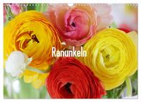 Vorderes Coverbild Ranunkeln (Wandkalender 2025 DIN A3 quer), CALVENDO Monatskalender
