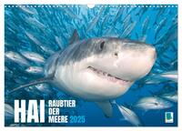 Vorderes Coverbild Hai: Raubtier der Meere (Wandkalender 2025 DIN A3 quer), CALVENDO Monatskalender