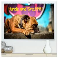 Vorderes Coverbild Hunde und Graffiti (hochwertiger Premium Wandkalender 2025 DIN A2 quer), Kunstdruck in Hochglanz