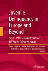 Vorderes Coverbild Juvenile Delinquency in Europe and Beyond