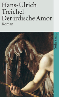 Vorderes Coverbild Der irdische Amor