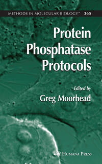 Vorderes Coverbild Protein Phosphatase Protocols