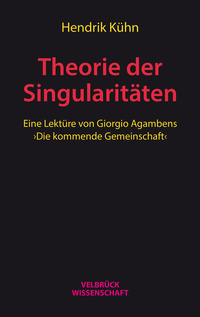 Vorderes Coverbild Theorie der Singularitäten