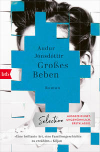 Vorderes Coverbild Großes Beben