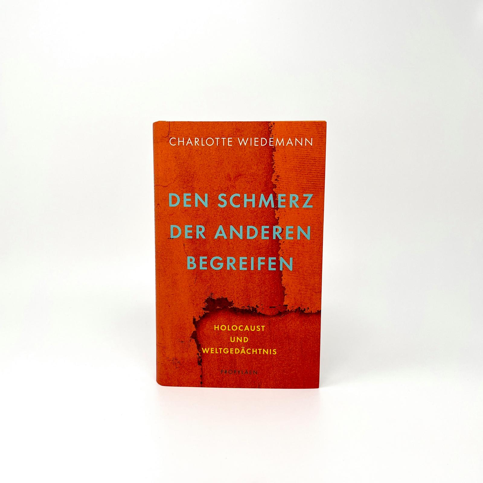Beispielinhalt (Bild) Den Schmerz der Anderen begreifen