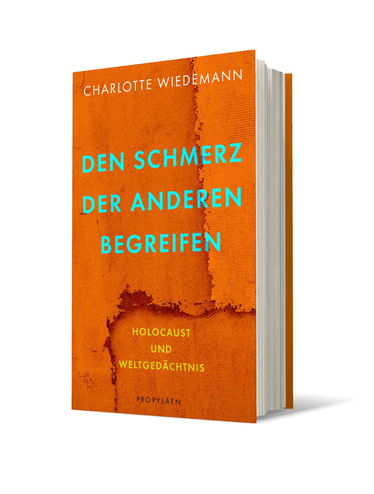 Anderes Coverbild Den Schmerz der Anderen begreifen