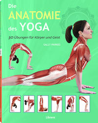 Vorderes Coverbild Die Anatomie des Yoga