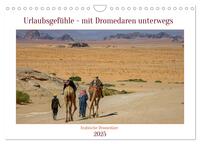 Vorderes Coverbild Urlaubsgefühle - mit Dromedaren unterwegs (Wandkalender 2025 DIN A4 quer), CALVENDO Monatskalender