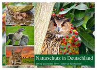 Vorderes Coverbild Naturschutz in Deutschland (Wandkalender 2025 DIN A2 quer), CALVENDO Monatskalender