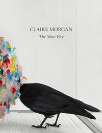 Vorderes Coverbild Claire Morgan