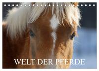 Vorderes Coverbild Welt der Pferde (Tischkalender 2025 DIN A5 quer), CALVENDO Monatskalender