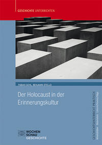 Vorderes Coverbild Der Holocaust in der Erinnerungskultur