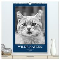 Vorderes Coverbild Wilde Katzen - Korsikas Samtpfoten (hochwertiger Premium Wandkalender 2025 DIN A2 hoch), Kunstdruck in Hochglanz