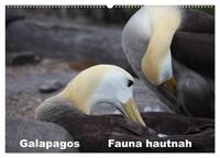 Vorderes Coverbild Galapagos. Fauna hautnah (Wandkalender 2025 DIN A2 quer), CALVENDO Monatskalender