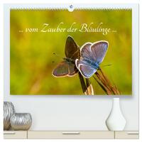 Vorderes Coverbild ... vom Zauber der Bläulinge ... (hochwertiger Premium Wandkalender 2025 DIN A2 quer), Kunstdruck in Hochglanz