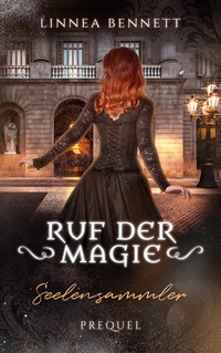 Vorderes Coverbild Seelensammler