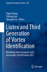 Vorderes Coverbild Liutex and Third Generation of Vortex Identification