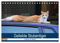 Vorderes Coverbild Geliebte Stubentiger - Katzen im Alltag (Tischkalender 2025 DIN A5 quer), CALVENDO Monatskalender
