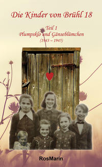 Vorderes Coverbild Die Kinder von Brühl 18