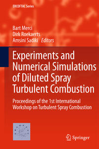 Vorderes Coverbild Experiments and Numerical Simulations of Diluted Spray Turbulent Combustion