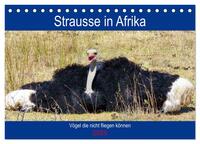 Vorderes Coverbild Strausse in Afrika (Tischkalender 2025 DIN A5 quer), CALVENDO Monatskalender