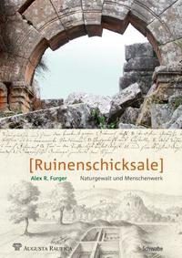 Vorderes Coverbild Ruinenschicksale