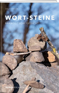 Vorderes Coverbild Wort-Steine