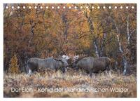 Vorderes Coverbild Der Elch - König der skandinavischen Wälder (Tischkalender 2025 DIN A5 quer), CALVENDO Monatskalender
