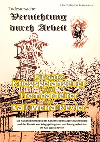 Vorderes Coverbild Todesursache - Vernichtung durch Arbeit