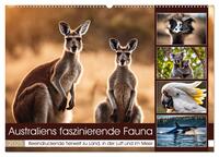 Vorderes Coverbild Australiens faszinierende Fauna (Wandkalender 2025 DIN A2 quer), CALVENDO Monatskalender