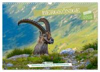 Vorderes Coverbild Bergkönige - Steinböcke im Blickpunkt der Naturfotografie (Wandkalender 2025 DIN A3 quer), CALVENDO Monatskalender
