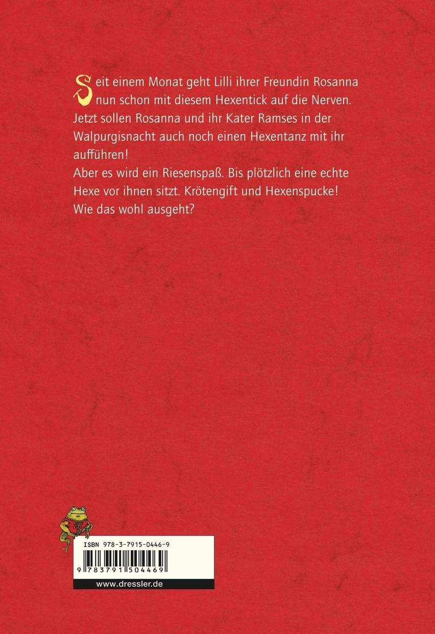 Rückseitencover Zwei wilde kleine Hexen