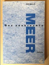 Vorderes Coverbild Das senkrechte Meer