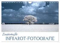Vorderes Coverbild Zauberhafte Infrarot-Fotografie (Wandkalender 2025 DIN A4 quer), CALVENDO Monatskalender