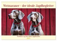 Vorderes Coverbild Weimaraner - der ideale Jagdbegleiter (Wandkalender 2025 DIN A3 quer), CALVENDO Monatskalender