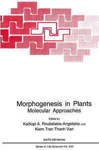 Vorderes Coverbild Morphogenesis in Plants
