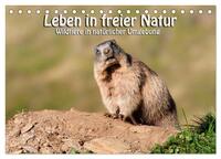 Vorderes Coverbild Leben in freier Natur - Wildtiere in natürlicher Umgebung (Tischkalender 2025 DIN A5 quer), CALVENDO Monatskalender