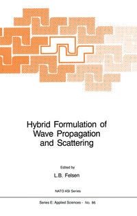 Vorderes Coverbild Hybrid Formulation of Wave Propagation and Scattering