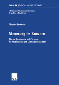 Vorderes Coverbild Steuerung im Konzern